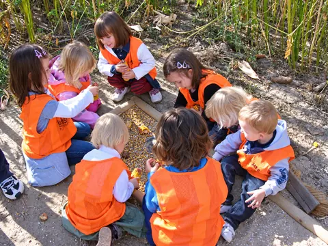 Gemeinsam in der Natur